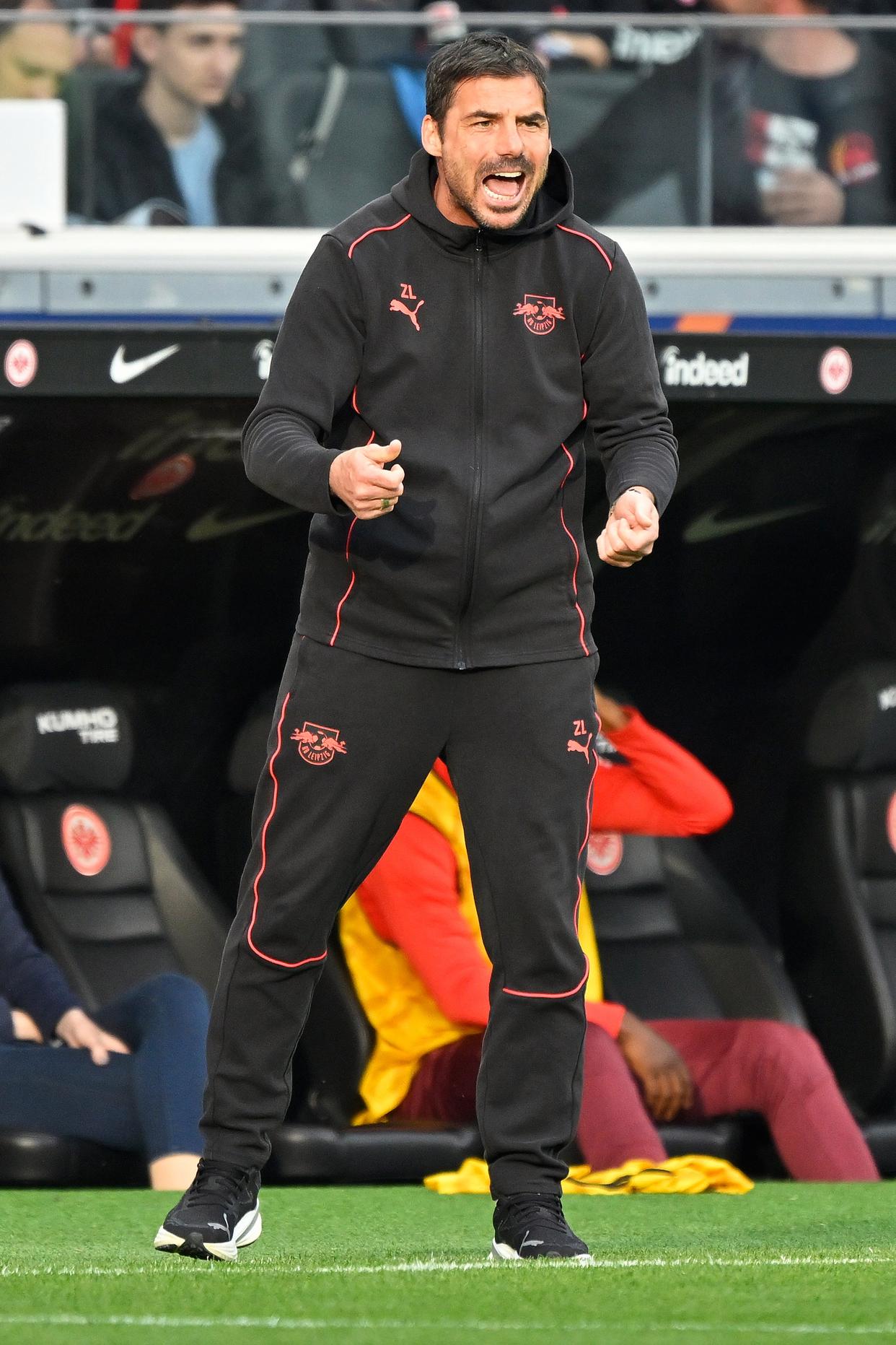  德甲沙尔克04法兰克福 -u8国际